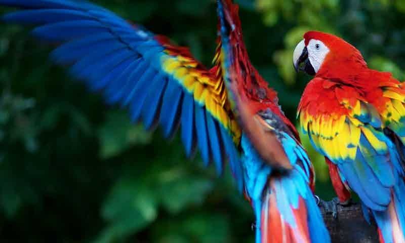 non-et-non-sint-earum-voluptatem