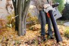 Thumbnail Sopladora Trituradora a Combustión Stihl SH 560
